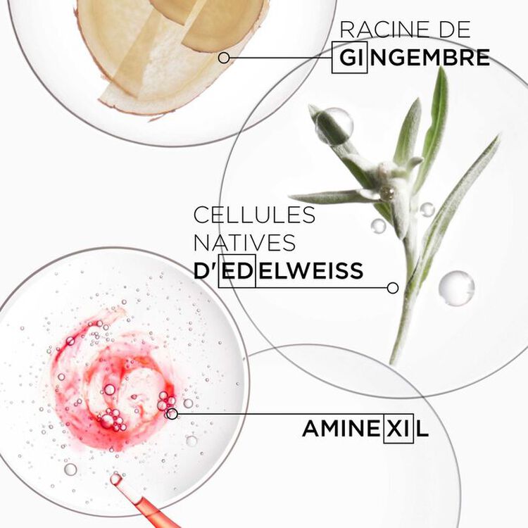 Coffret découverte - Genesis Duo pour cheveux fragilisés